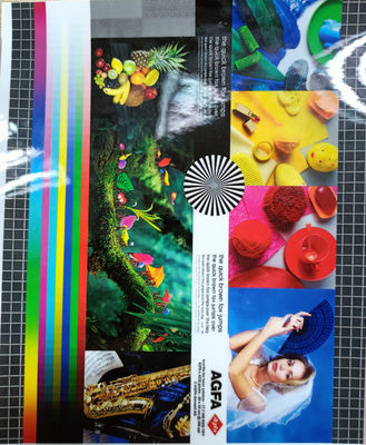 Un buen precio. Embalaje Película protectora PET laminada sobre fotos Prevenir la contaminación en línea